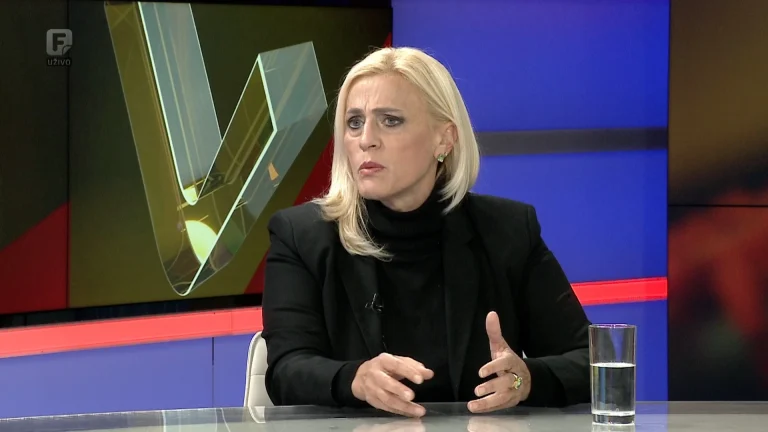 U Plenumu o femicidu: Siromaštvo vrijednosti u BiH veći je problem od materijalnog siromaštva