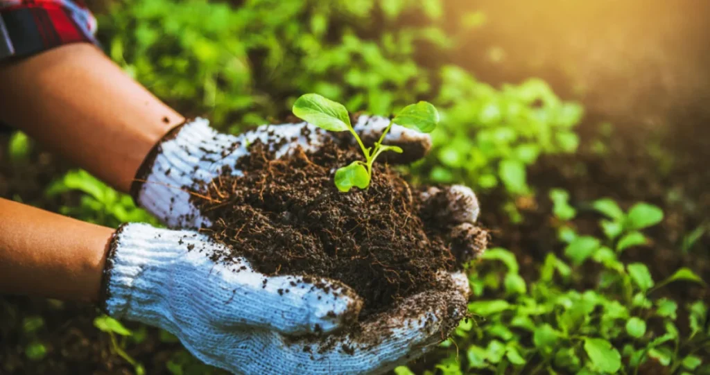 Stručnjaci upozoravaju: BiH gubi mlade i resurse, a ne koristi vlastite potencijale u poljoprivredi