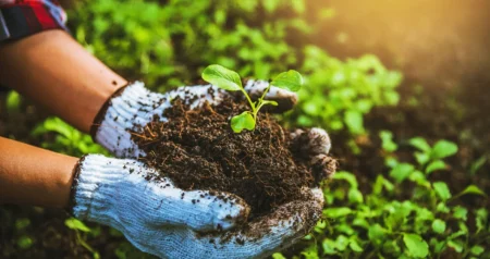 Stručnjaci upozoravaju: BiH gubi mlade i resurse, a ne koristi vlastite potencijale u poljoprivredi