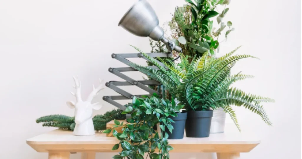 10 sobnih biljaka koje mirišu u jesen: Bez svijeća i hemije, one čuvaju svježinu kuće