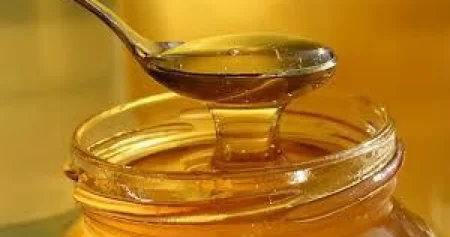 Grupa naučnika napravila jedinstven proizvod