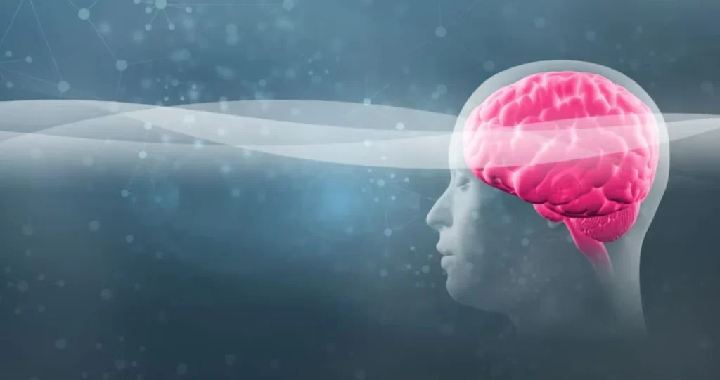 Nova studija: Mozak se naglo gasi nekoliko minuta prije nego što zaspimo