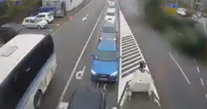 Vukanović je upozorio, a sada stižu: Duge kolone na ulazu u BiH iz Srbije na dan izbora