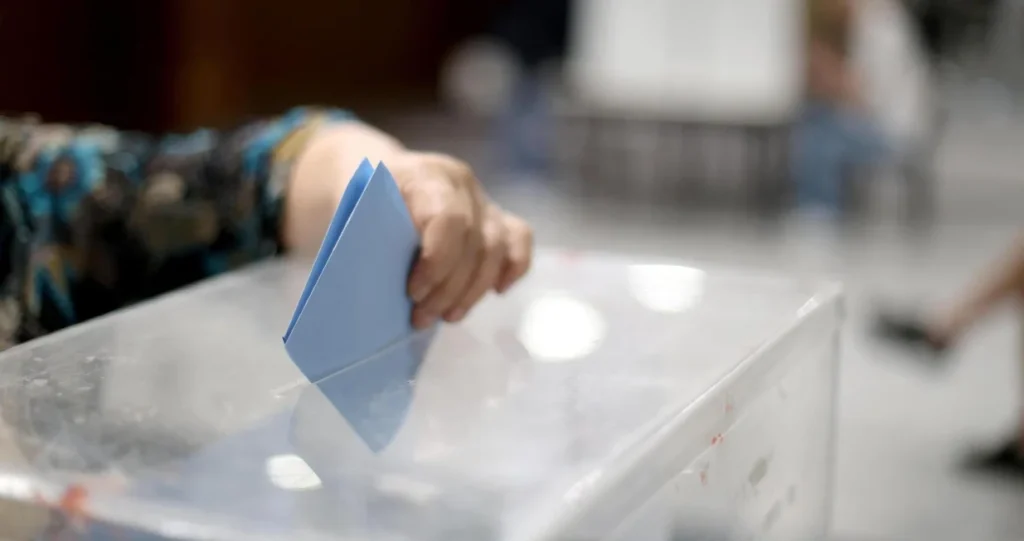 Lokalni izbori u Srbiji: Negotin, Mionica i Sečanj na biralištima