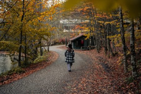 Fotogalerija: Jesen u turskom Boluu