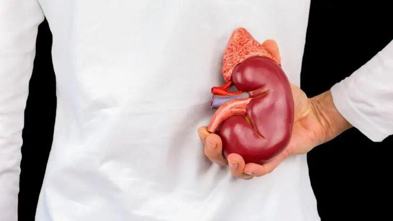 Rak bubrega: Bolest bez simptoma koja brzo napreduje