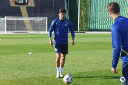 Emir Karić stekao pravo nastupa za BiH