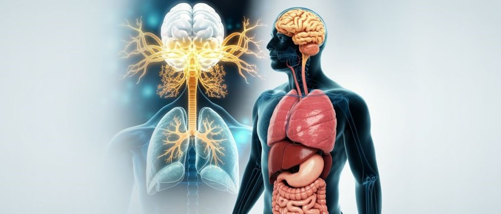 Interocepcija – skrivene neuralne mreže kao naše šesto čulo