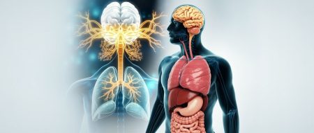 Interocepcija – skrivene neuralne mreže kao naše šesto čulo