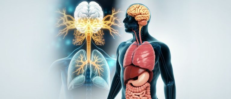 Interocepcija – skrivene neuralne mreže kao naše šesto čulo