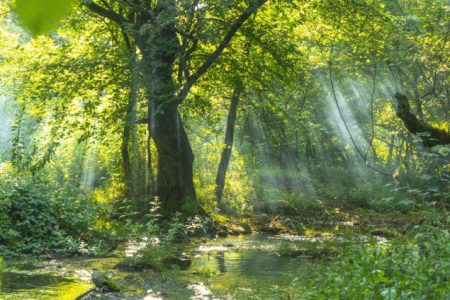 Izložba radova mladih fotografa zapadnog Balkana u Muzeju Grada Zenica