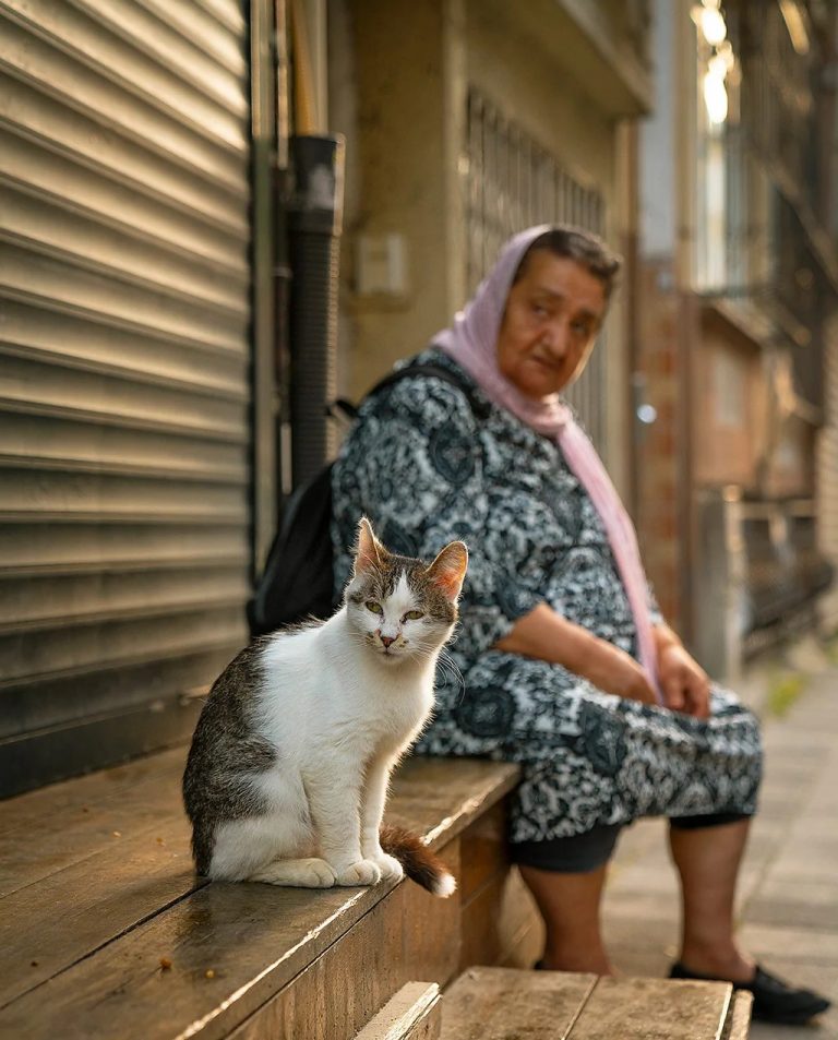 Catstanbul – Unutar grada gdje mačke vladaju ulicama