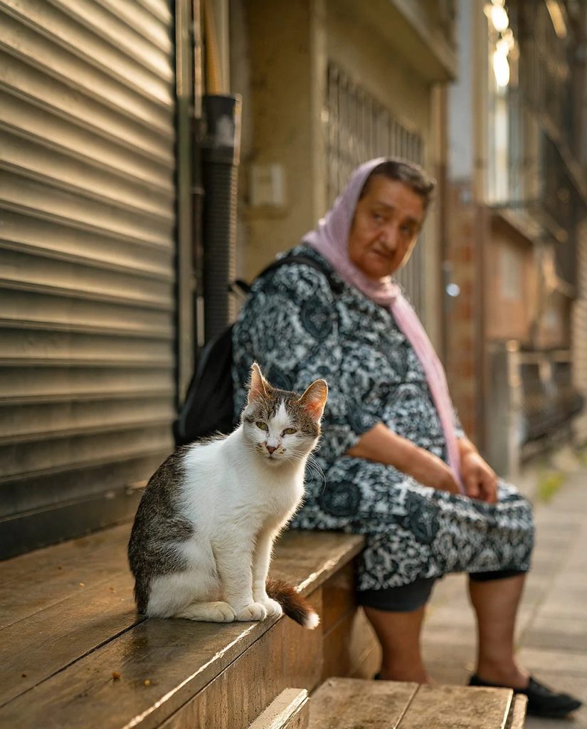 Catstanbul – Unutar grada gdje mačke vladaju ulicama
