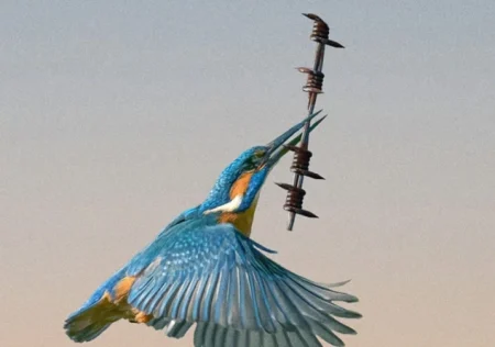 Diplomatija se povlači, oružje preuzima primat: Opasna nova dinamika svjetskog poretka