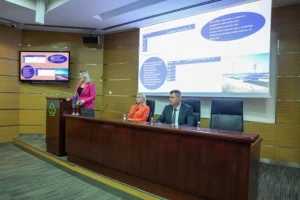 BiH najviše izvozi električnu energiju i izolovanu žicu, a najviše uvozi naftu i putničke automobile