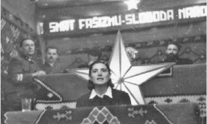 Dan državnosti između kontinuiteta i simbolike: Bosna i Hercegovina ne može biti osuđena samo na vrijednosti ZAVNOBiH-a