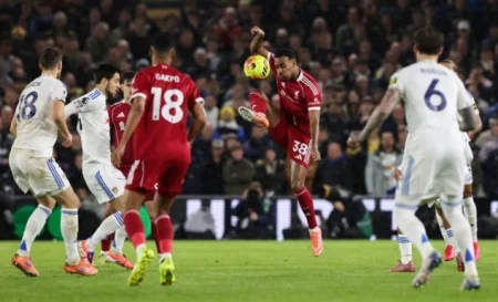 Remi Leedsa i Liverpoola u Premijer ligi