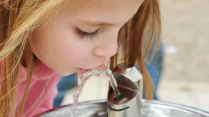 Na listi i tjestenina i pahuljice: Pronađene toksične hemikalije u hrani širom Eurpe