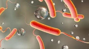 Opasna bakterija se širi Evropom: Raste broj trovanja hranom, najrizičniji proizvodi su…