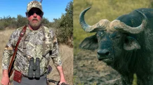 Tragedija u Brazilu: Mladić ušao u nastambu lavice, ubila ga pred očima posjetitelja