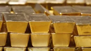 Nevjerovatan slučaj krađe na Novom Zelandu: Progutao privjesak vrijedan više od 33.500 dolara