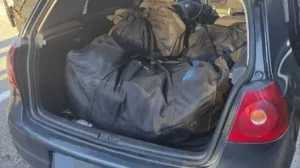 Epilog akcije Uskok: Dilerima 12 godina zatvora zbog 100 kilograma marihuane