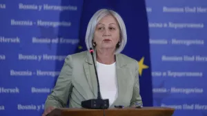 Glavni pregovarač predstavlja državu i na prvom mjestu moraju biti interesi BiH