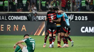 Osvojili su Copa Libertadores, a onda i postali prvaci Brazila