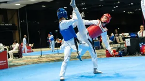 Historijski uspjeh za bh. taekwondo: Avdagić i Husić osvojili svjetske bronze