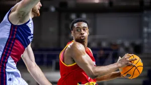 Bosna ekspresno dovela zamjenu za Audigea