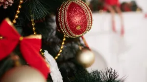 Nije svejedno gdje stoji: Stavite jelku ovdje i prizovite sreću i bogatstvo u vaš dom