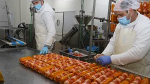 Povećanje penzija na dugom štapu: Ništa se bez fiskalne procjene i mišljenja Ministarstva