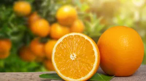 Imate problema sa zatvorom? Ovih 5 jutarnjih navika mogle bi promijeniti sve