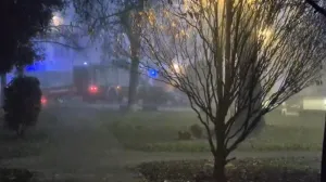 Detalji tragedije na Savi: Skočio sam da ih spasim, derali su se i plutali…