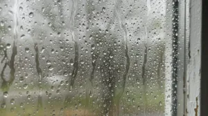 Žene su oduševljene ovim trikom: Jedan potez i grudnjaci će vam trajati godinama