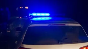 Detalji tragedije kod Trebinja: Poginuo 17-godišnjak, mladi vozač nije položio vozački ispit