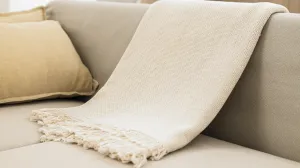 Ne zanemarujte je: Ovu stvar u WC-u svi zaboravljaju očistiti, a pravo je leglo bakterija