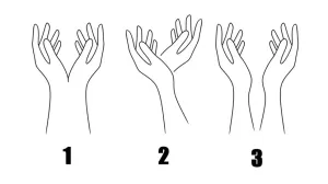 Koju ste prvo vidjeli? Prva životinja koju primijetite na slici otkriva sve o vašoj ličnosti