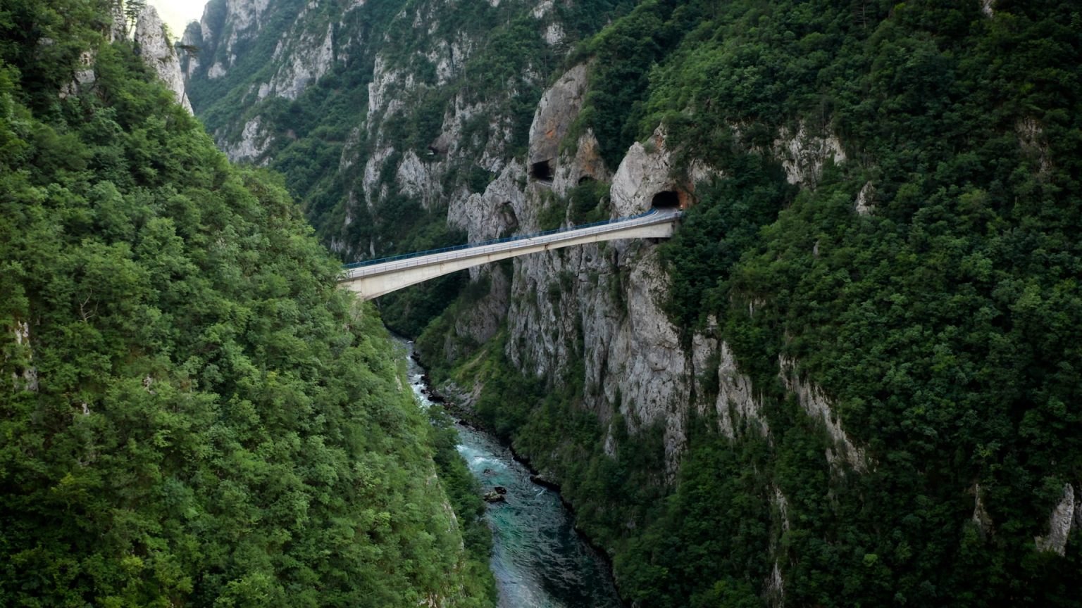 Iz Crne Gore potvrđena identifikacija dva člana porodice Klapuh