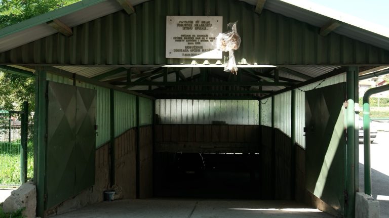 Ferida Nišić više od tri decenije traga za bratom