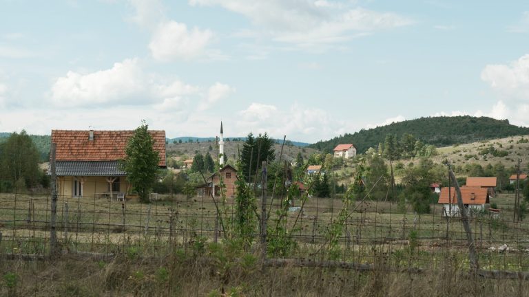 Obradović i ostali: Prekinuto ispitivanje vještaka dok ne dopuni nalaz