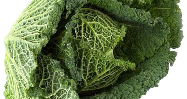 Magnezij je ključan za zdravlje: Ovo povrće krije najveće količine!