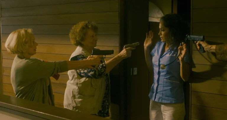 Paviljon Dine Mustafića na skopskom Cinedays festivalu