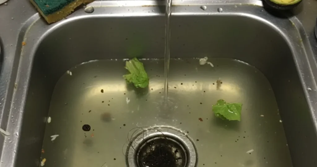 Izlijevate mlijeko u sudoper? Evo zašto to može uzrokovati probleme