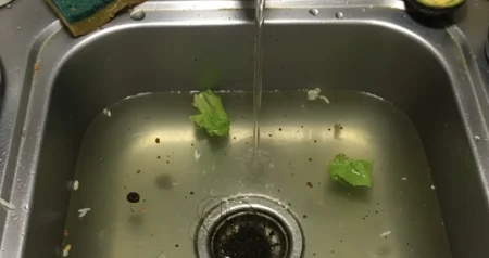 Izlijevate mlijeko u sudoper? Evo zašto to može uzrokovati probleme