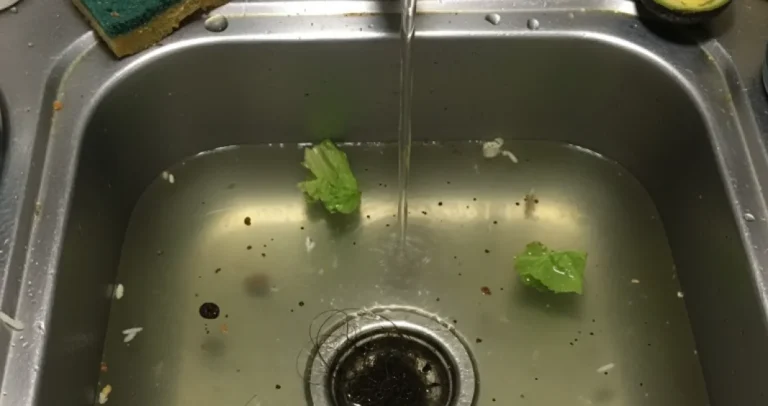 Izlijevate mlijeko u sudoper? Evo zašto to može uzrokovati probleme