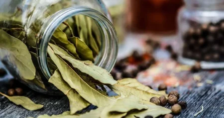 Stari trik koji vrijedi probati: Evo zašto se u flašu suncokretovog ulja stavljala lovorov list