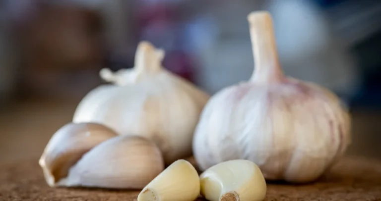 Ove namirnice najbrže podižu imunitet: Najefikasniji izbori za hladnije dane i sezonu virusa