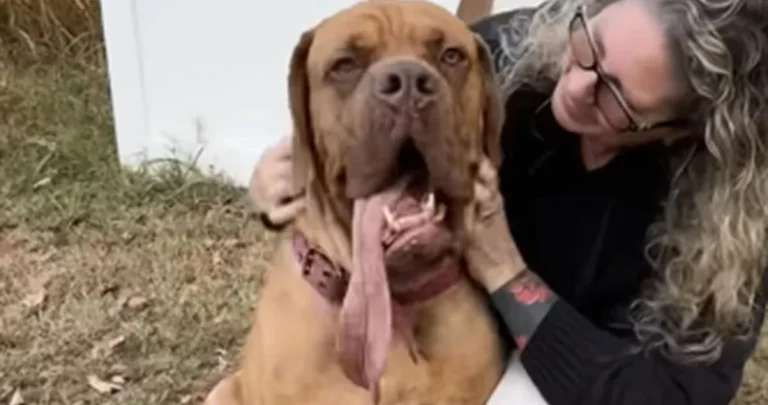 Pas Ozi iz Oklahome oborio Ginisov rekord za najduži jezik