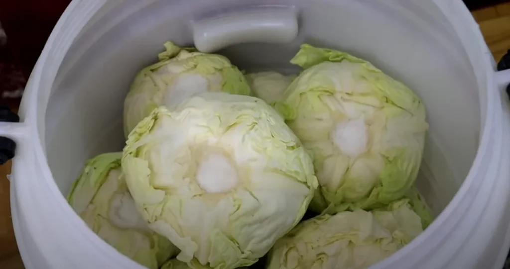 Ove sorte kupusa su najgori izbor za kiseljenje i zimnicu